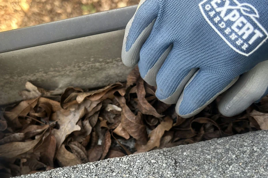 Gutter Cleaning Whitsett