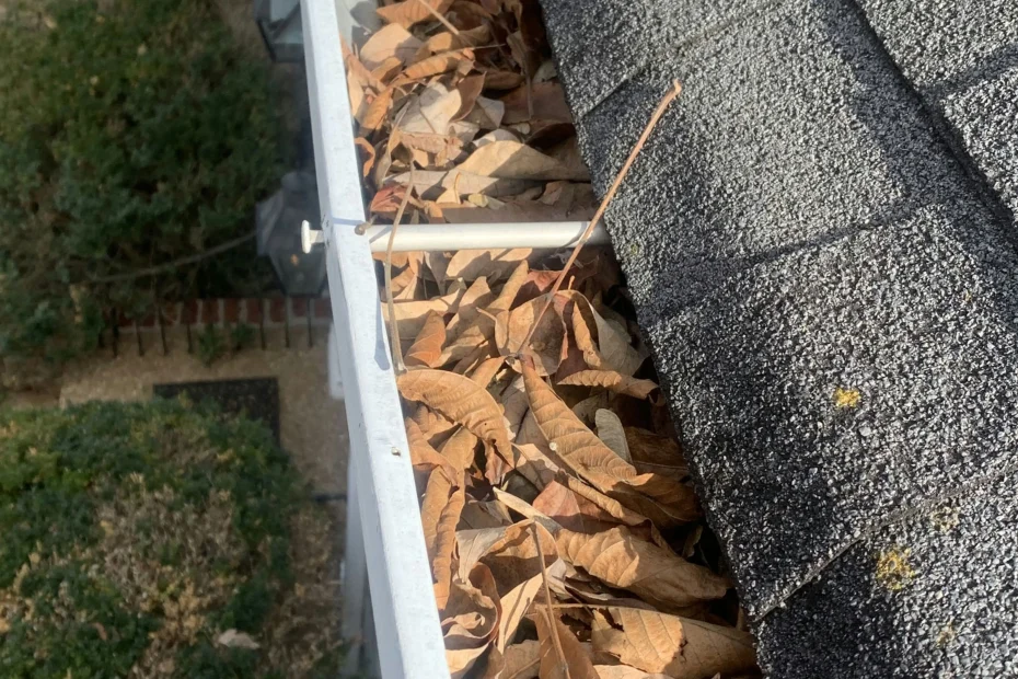 Gutter Cleaning Whitsett